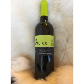 Cuve Alice