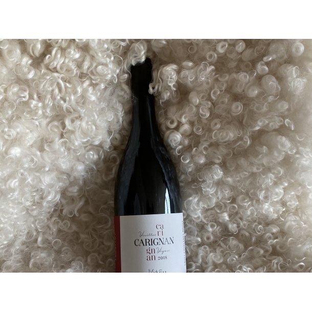 Carignan Mas L'Avail 2023