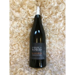 Caune d'en Joffre  2020