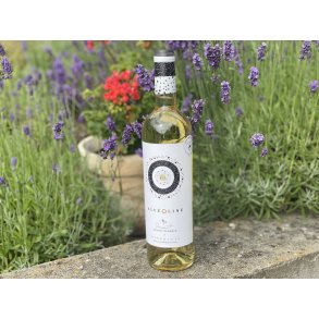 Alveoline Blanc, 2020