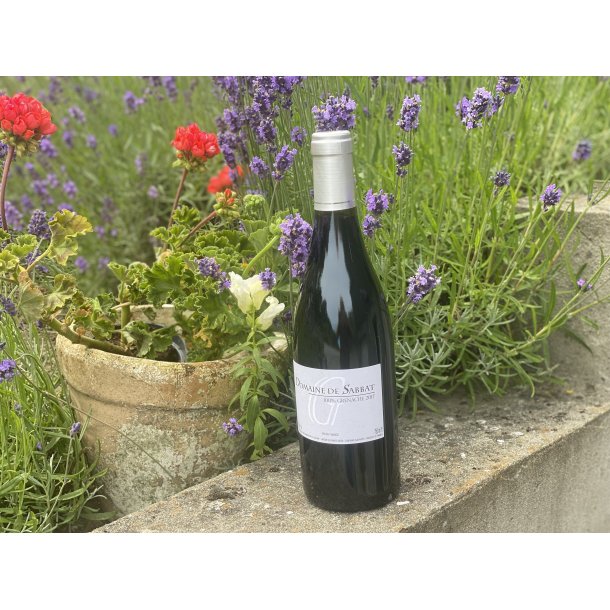 Grenache - Domaine de Sabbat 2017
