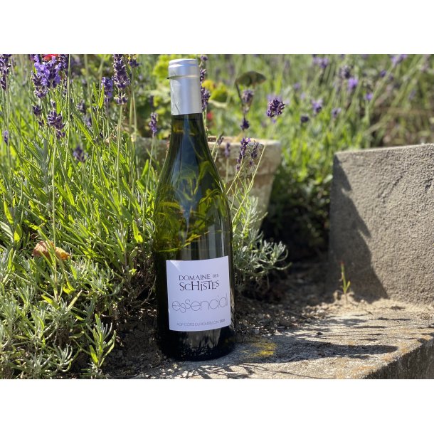 ESSENCIAL BLANC 2023