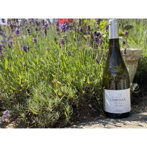 Carignan 2024