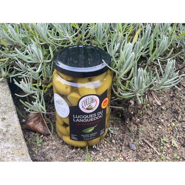 Gr�nne oliven, Lucques